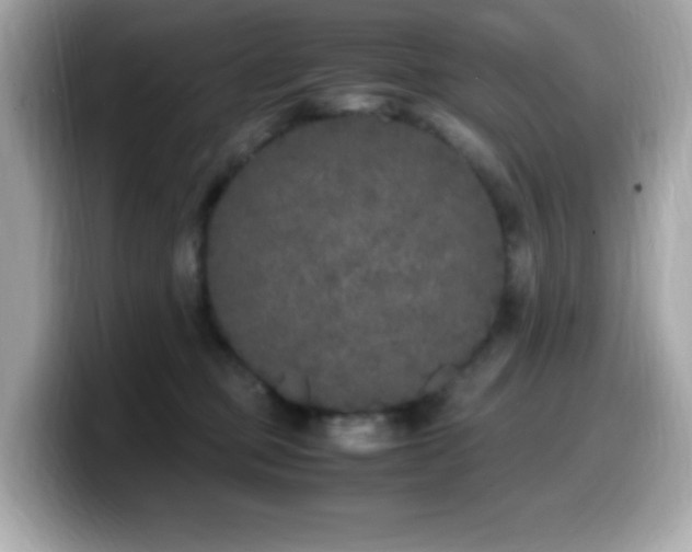 X0000099930373200805231235