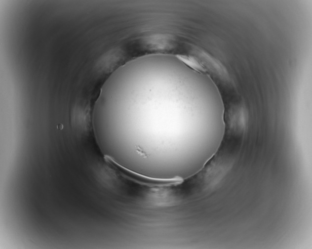 X0000099930376200805231235