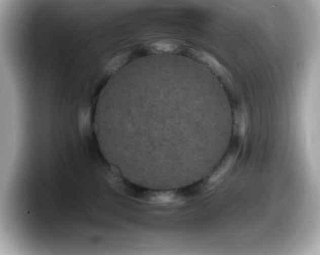 X0000099930377200805231235