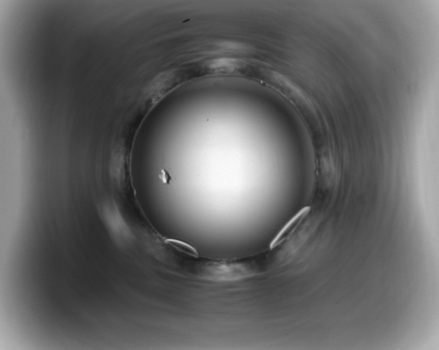 X0000099930379200805231236