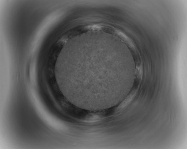 X0000099930381200805231236