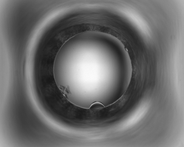 X0000099930383200805231236