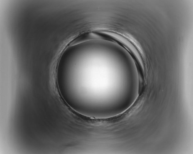 X0000099930385200805231235