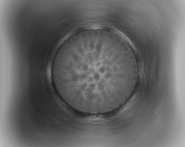 X0000099930386200805231235