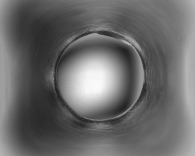 X0000099930389200805231235