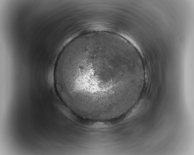 X0000099930390200805231235