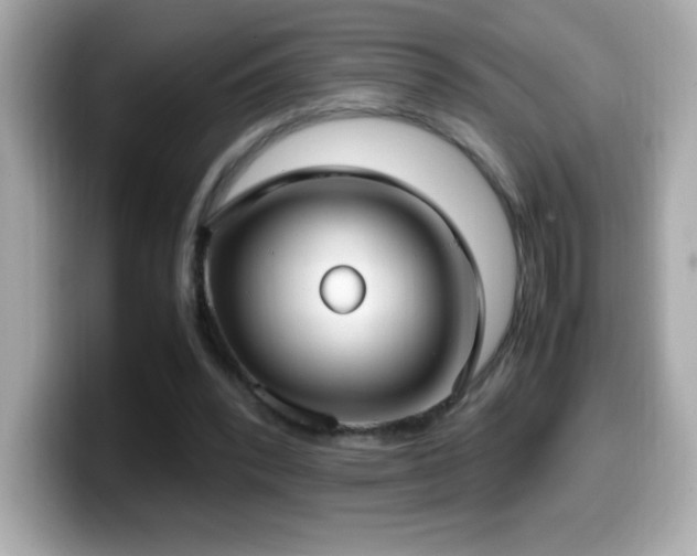 X0000099930392200805231235