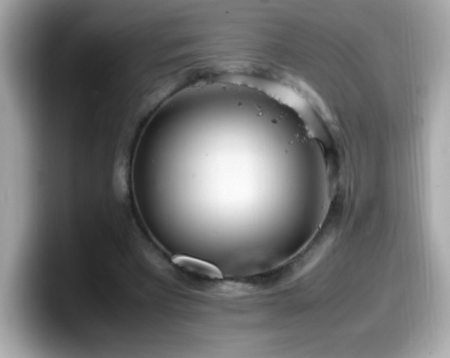 X0000099930393200805231235