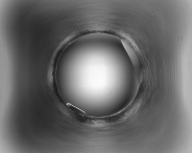 X0000099930395200805231235