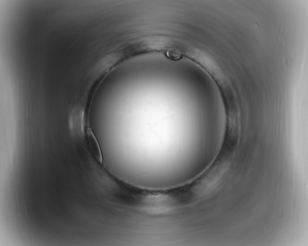 X0000099930397200805231235