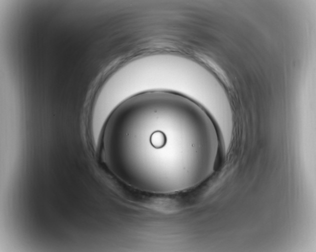 X0000099930399200805231235