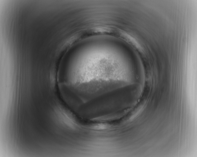 X0000099930402200805231235