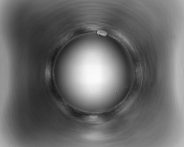 X0000099930406200805231235