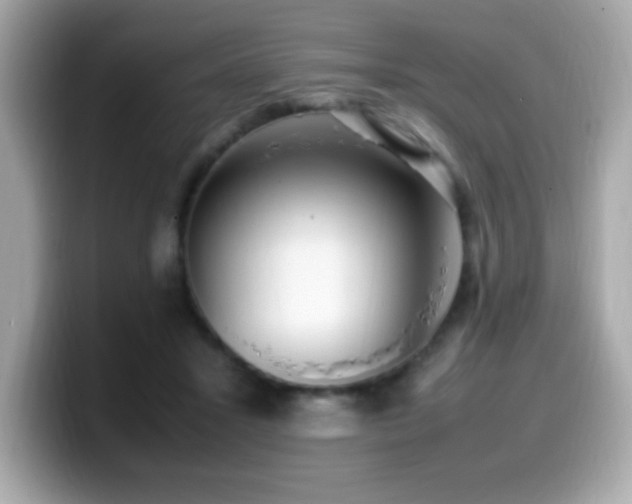 X0000099930407200805231235