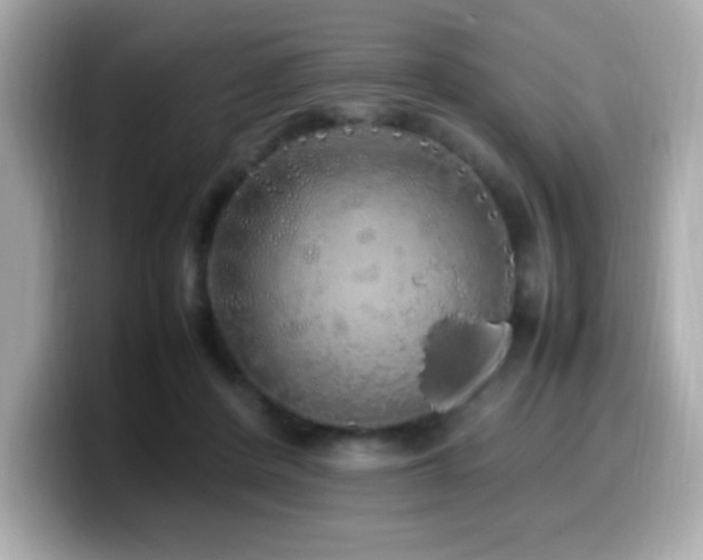 X0000099930408200805231235