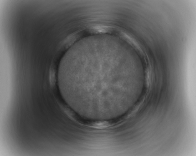 X0000099930410200805231235