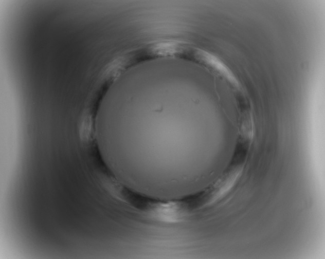 X0000099930411200805231235