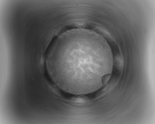 X0000099930412200805231235