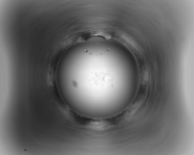 X0000099930414200805231235