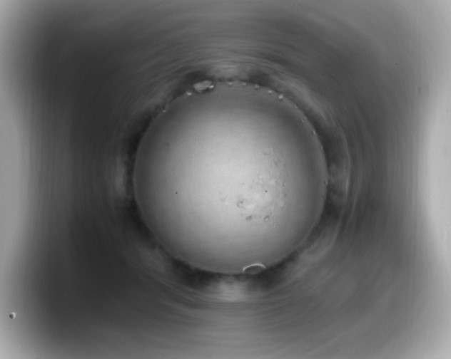 X0000099930416200805231235