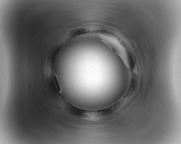 X0000099930417200805231235