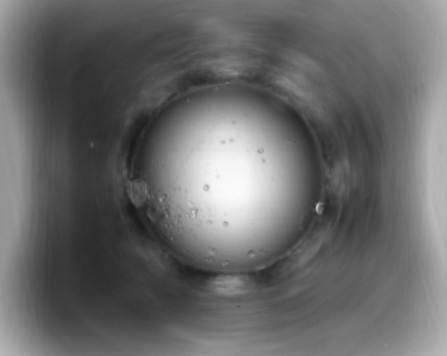 X0000099930418200805231234