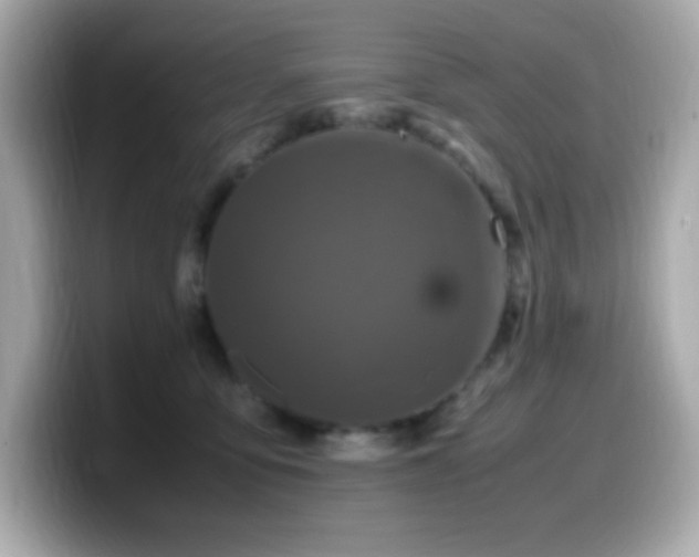 X0000099930419200805231234