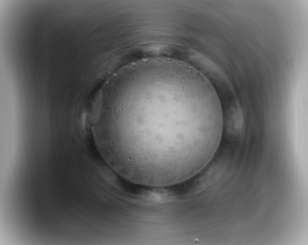 X0000099930420200805231234