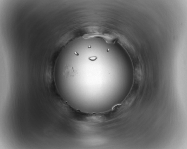 X0000099930422200805231234