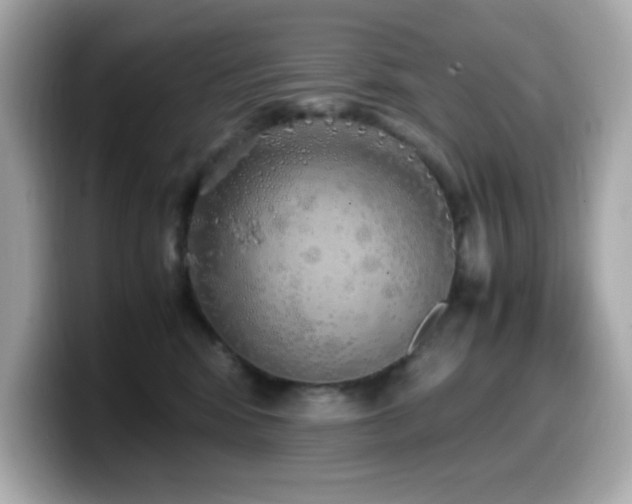 X0000099930424200805231234