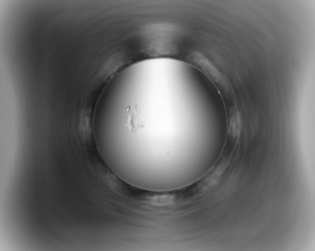 X0000099930426200805231234