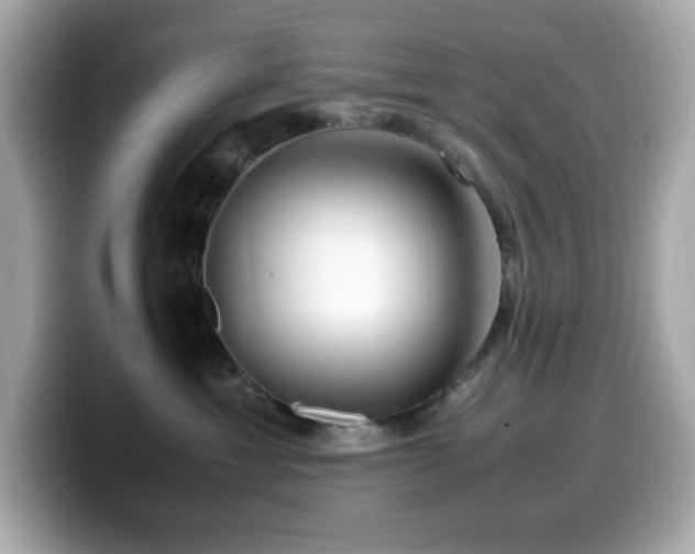 X0000099930429200805231234