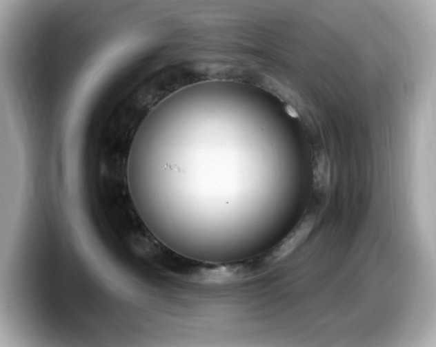 X0000099930430200805231234