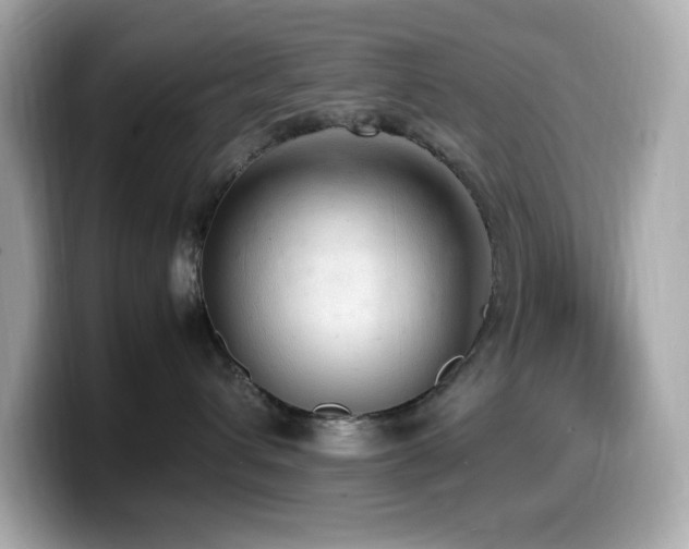 X0000099930432200805231234