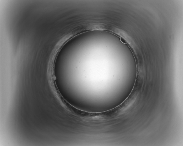 X0000099930433200805231234