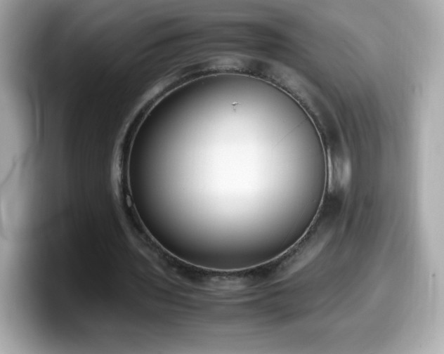 X0000099930435200805231234