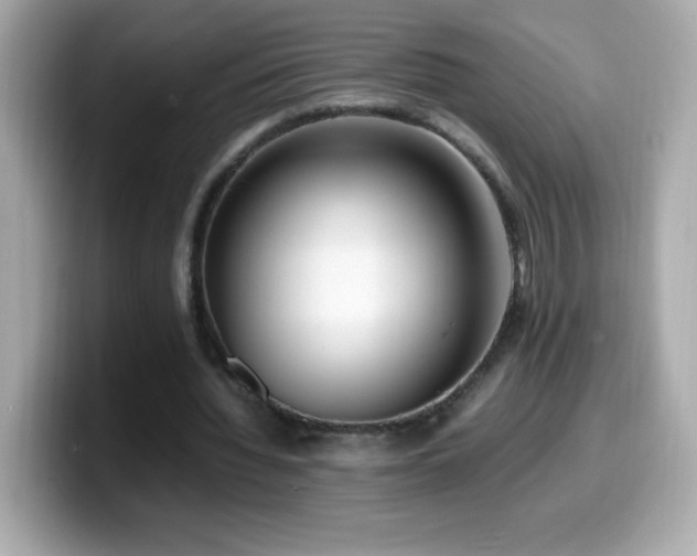 X0000099930436200805231234