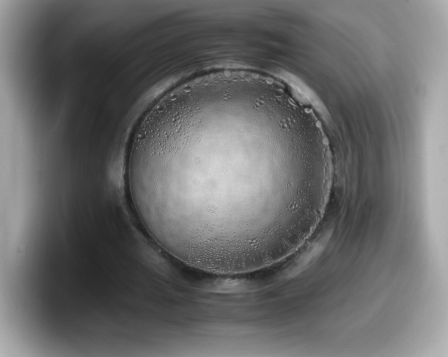 X0000099930437200805231234