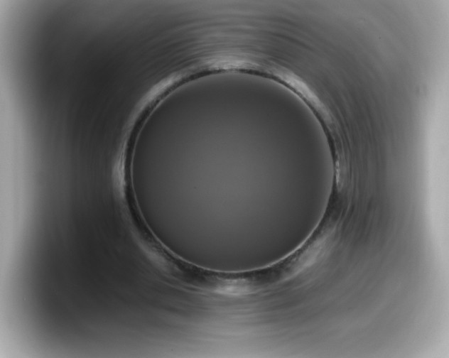 X0000099930438200805231234