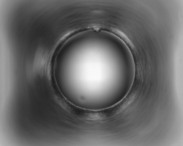 X0000099930439200805231234