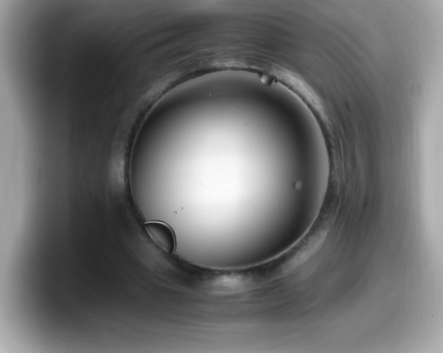 X0000099930441200805231234