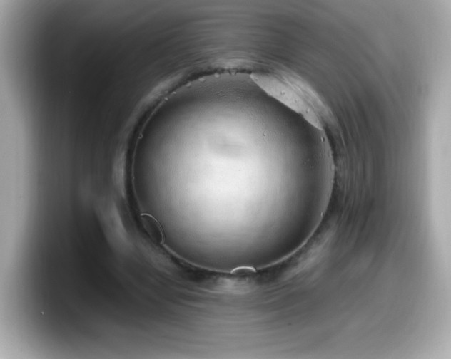 X0000099930442200805231234