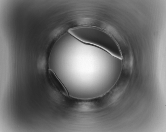 X0000099930448200805231234