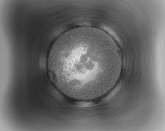 X0000099930449200805231234