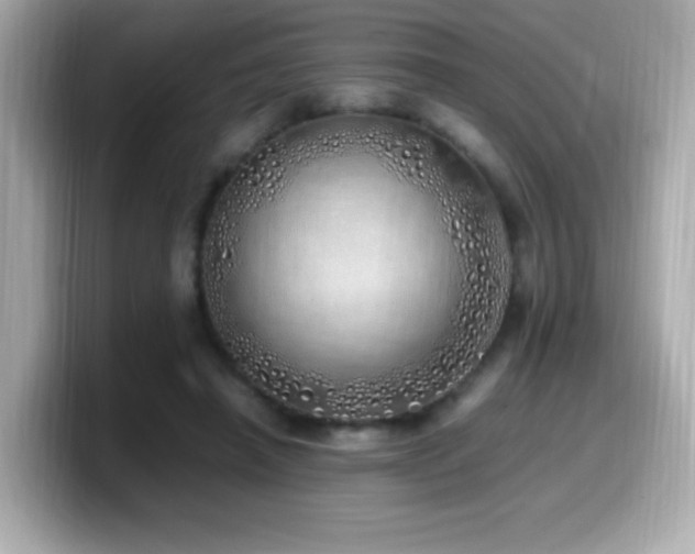 X0000099930450200805231234