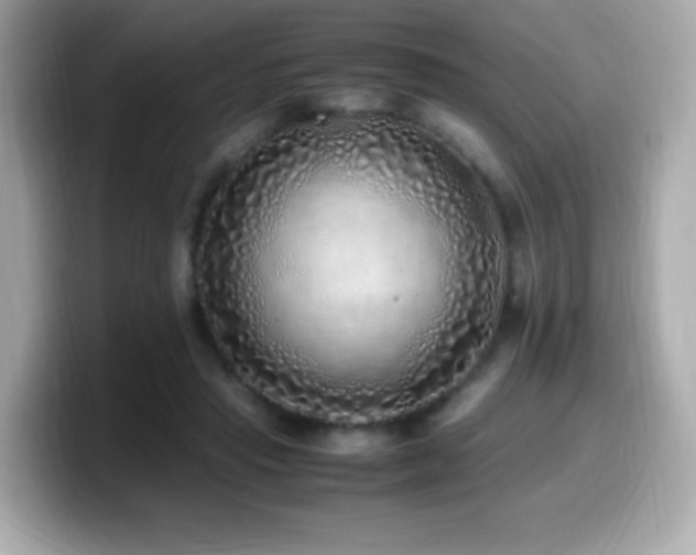 X0000099930453200805231234