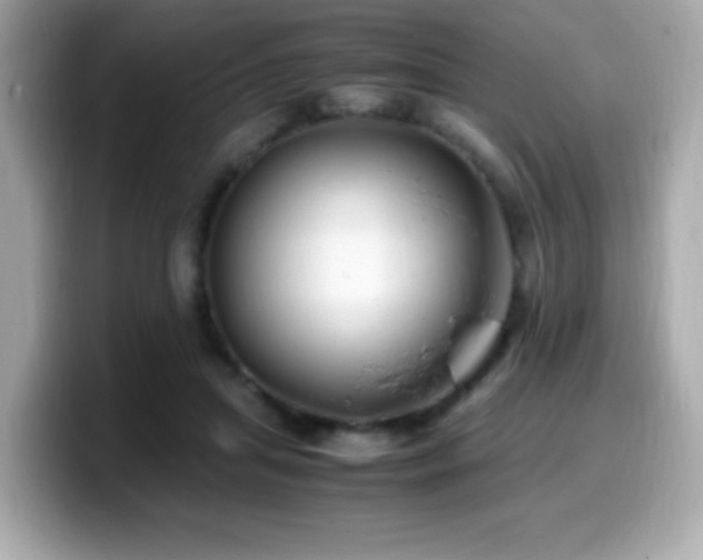 X0000099930455200805231234