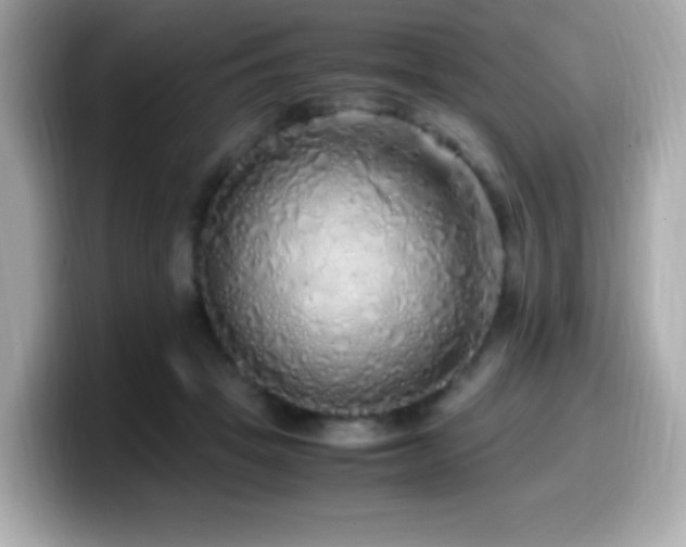 X0000099930457200805231234