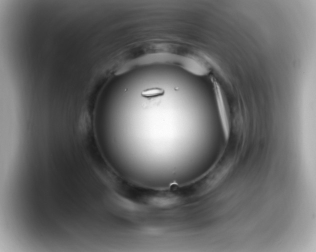 X0000099930459200805231234