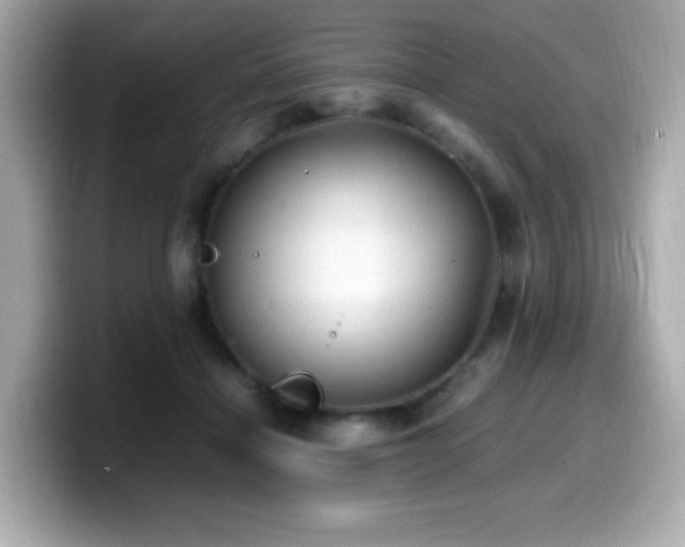 X0000099930460200805231234